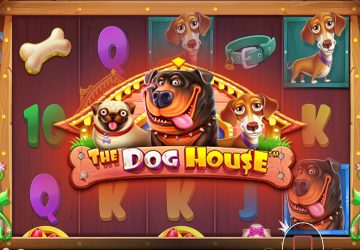Microgaming - игровой автомат онлайн от Various с RTP 96.36%